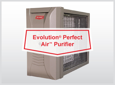 Evol PerfectAir MAIN